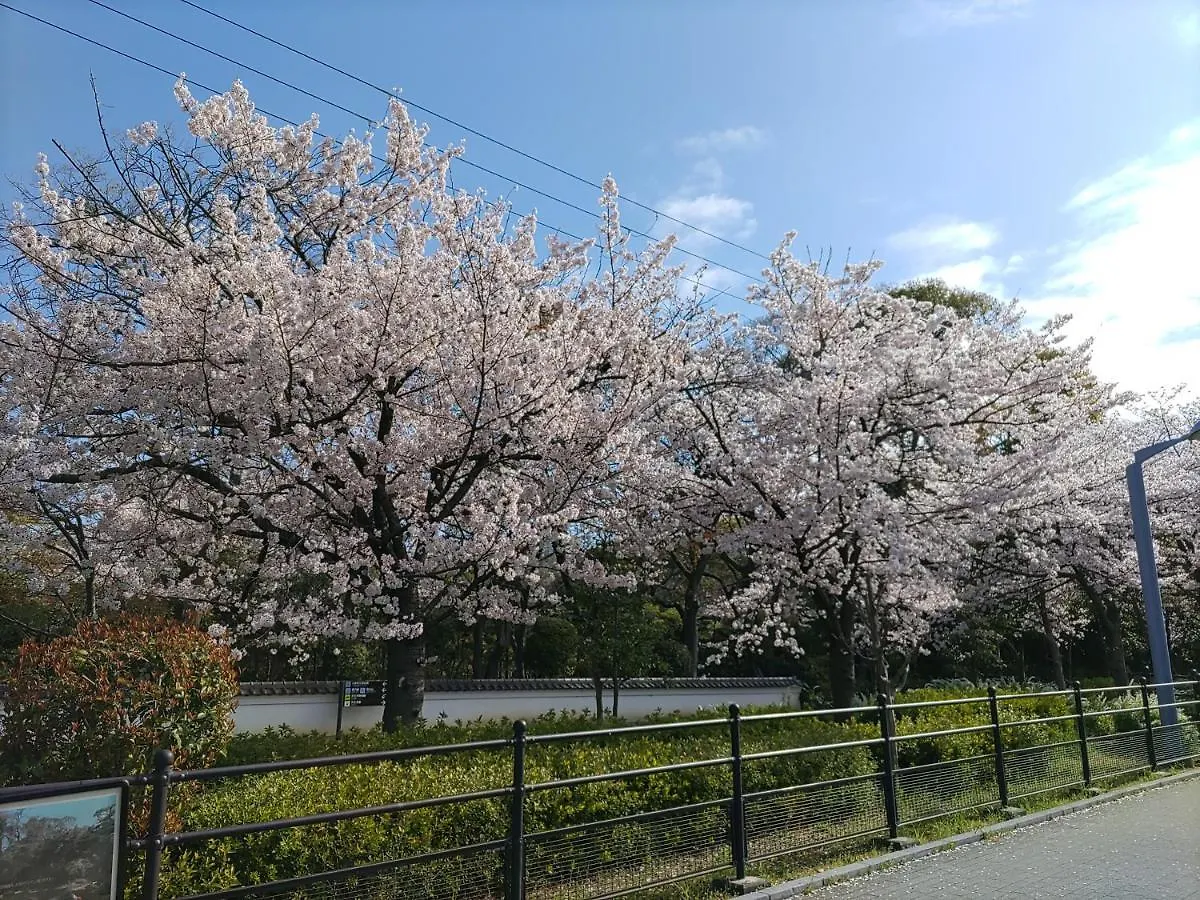 Joytel Hotel Osaka Shinsekai 4*,  일본